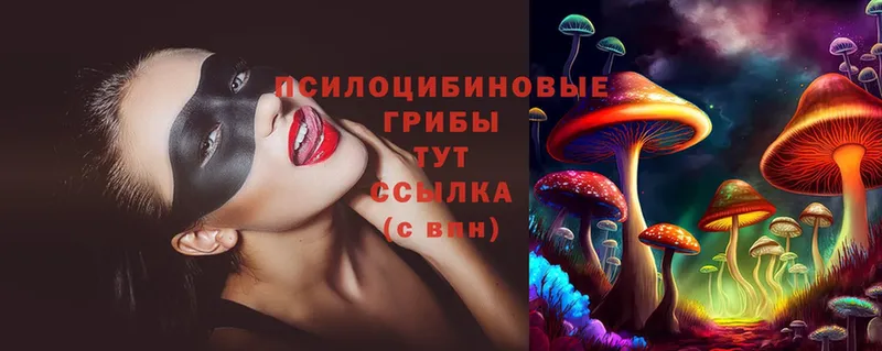 Псилоцибиновые грибы Psilocybe  как найти закладки  Саранск 